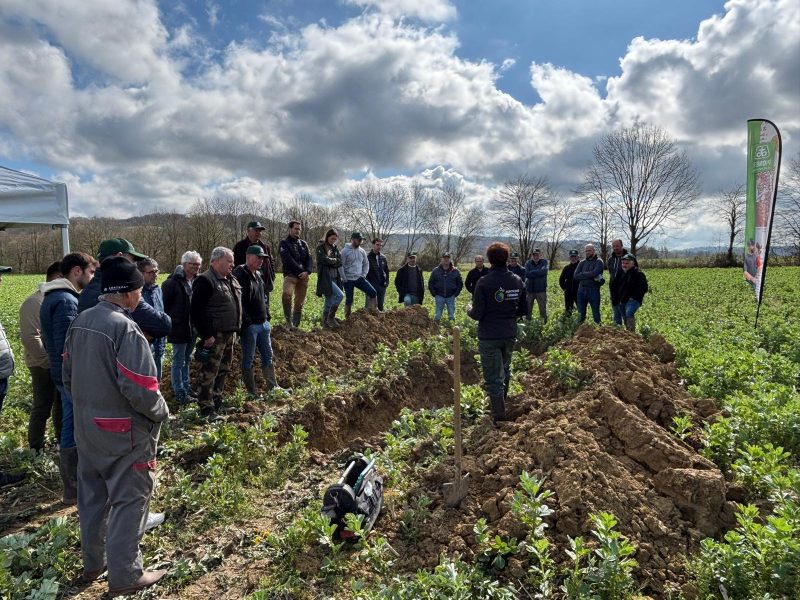etude-terrain-comparaison-video-parcelle